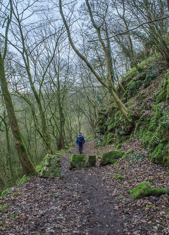 Limestone Way Limestone Way